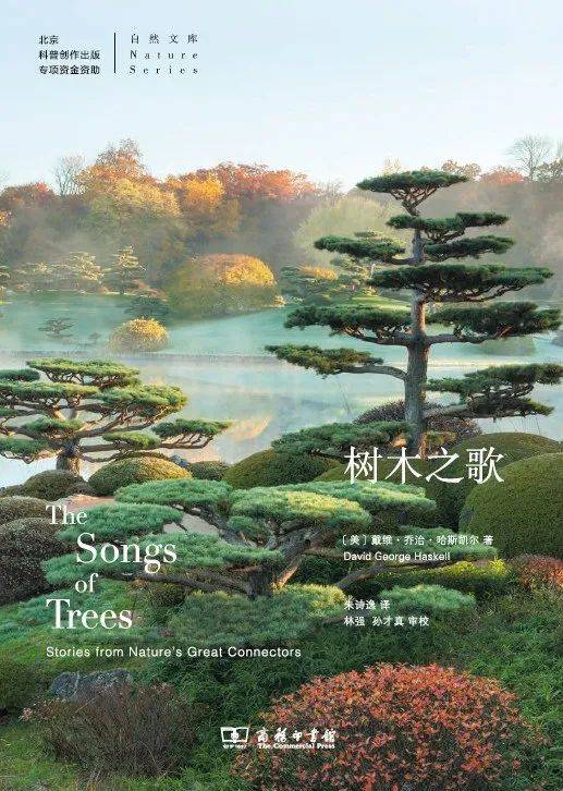植树节:从树木和森林中,看见人与环境的共生 | 知书 No.150_玛格丽特·罗曼_树冠_北美