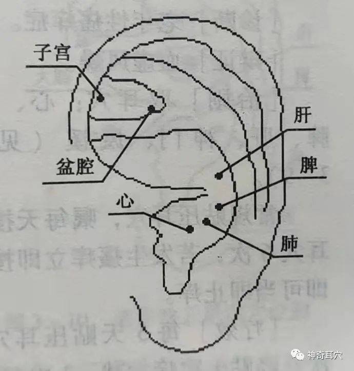 什么方法可以调理?