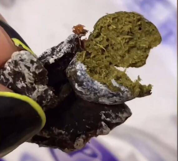 维权|过分!女子吃话梅一口咬碎“羊粪蛋”,厂家:5倍赔偿,给你2块5