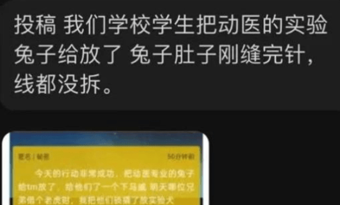 同学|成都某高校组织拔草,学妹把学长"毕业论文"拔了,终于可以做同学了