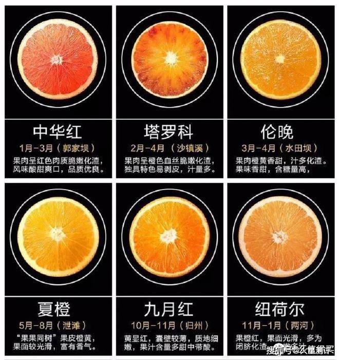 聊一聊咱家乡的水果——湖北秭归伦晚脐橙_橙子_品种_果壁