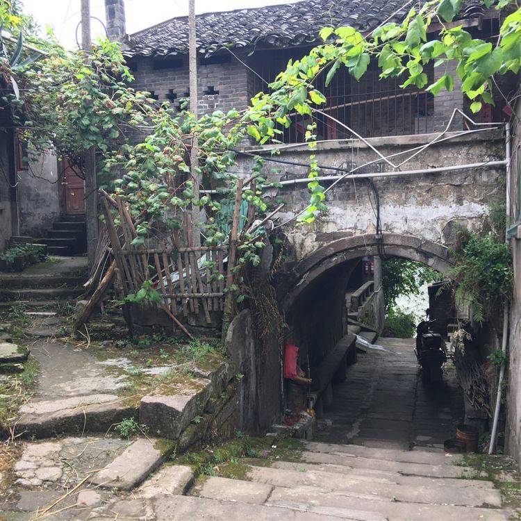 这里不再过多赘述,说说东渡场吧,合川城区里面的百年老街,因码头缎怂