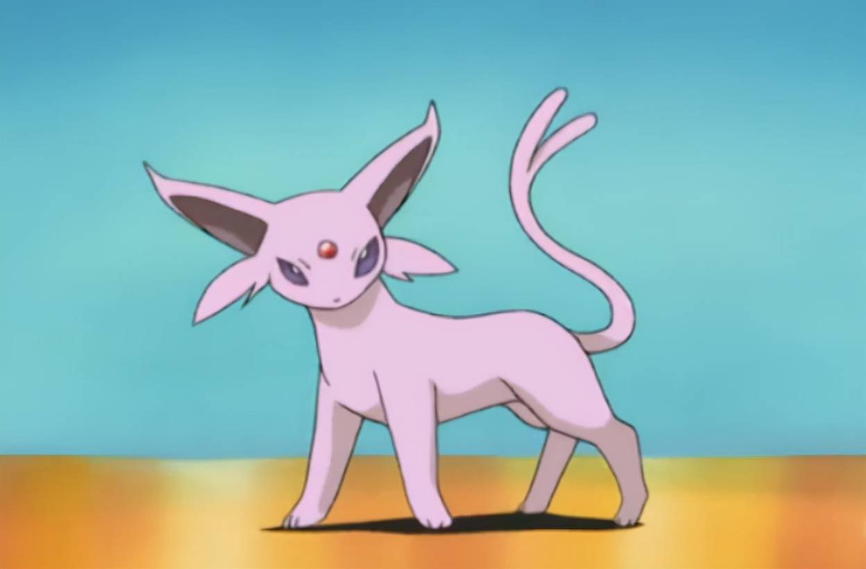 宝可梦在做输出上速度更快的太阳伊布怎么比不过仙子伊布