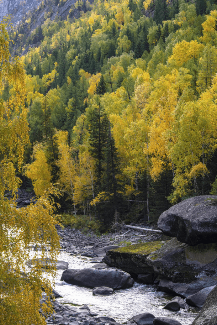 饶力明图文世界里的北疆秋韵