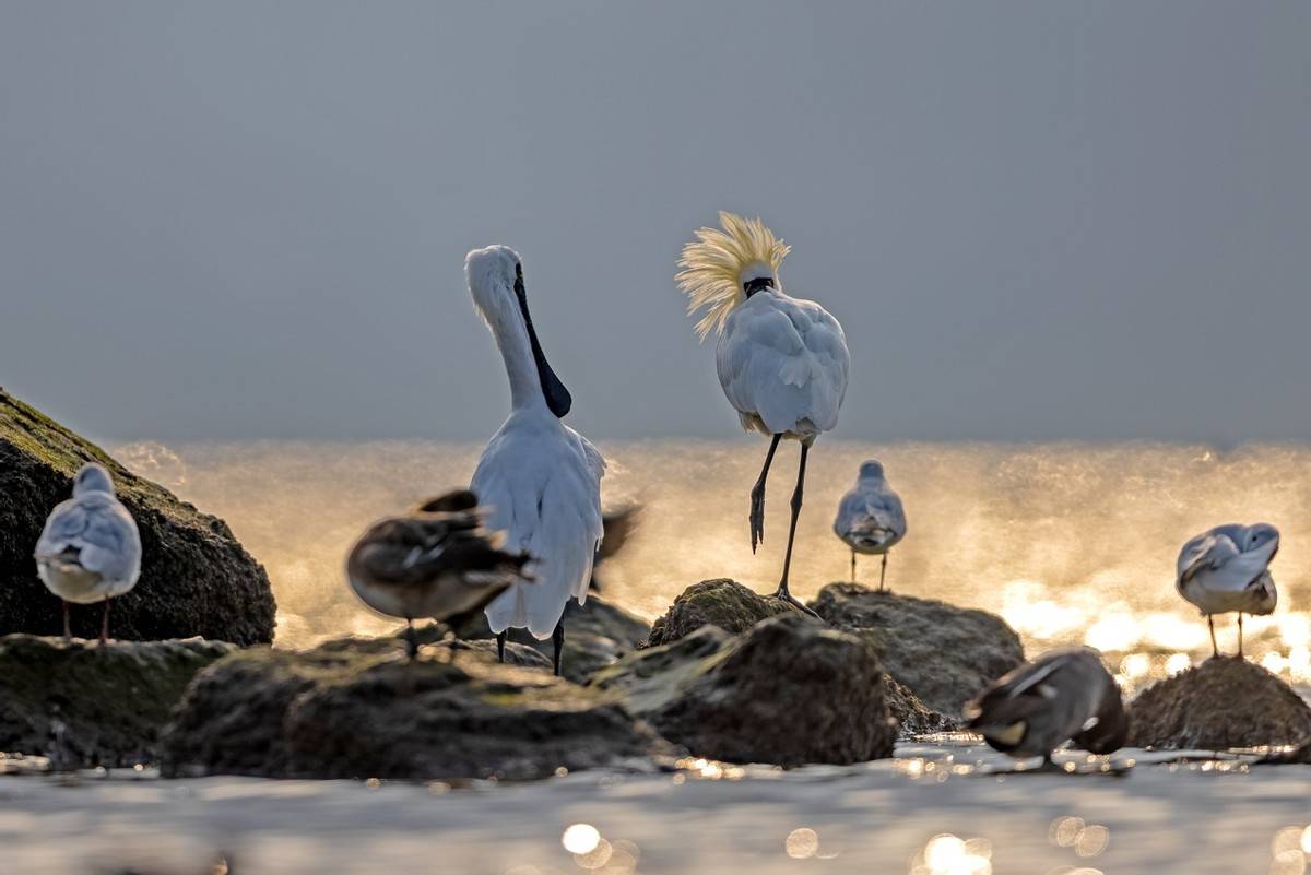 以热爱为名发现自然之美 那些野性瞬间背后的故事