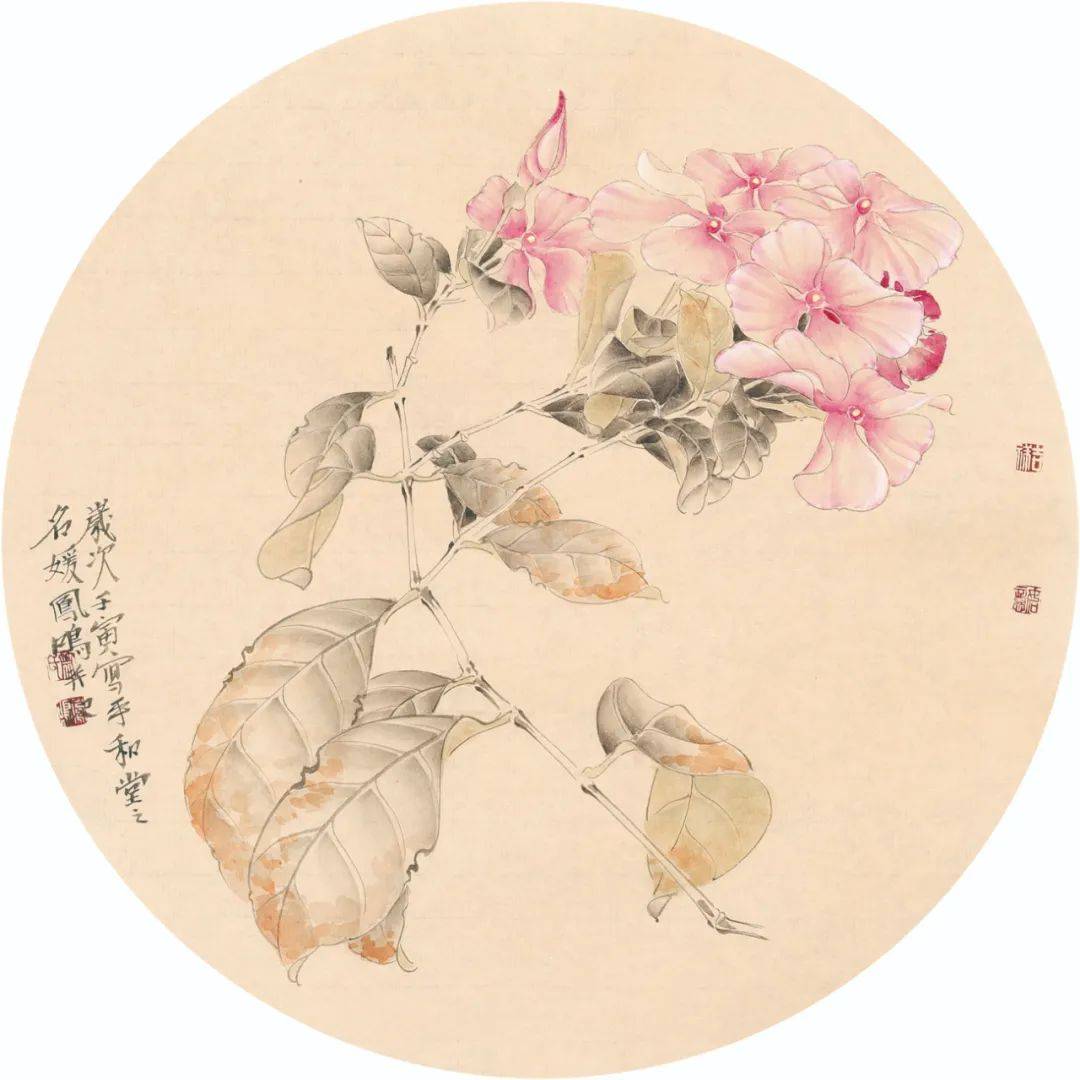 三生花草梦丨肖凤鸣工笔花鸟精品展