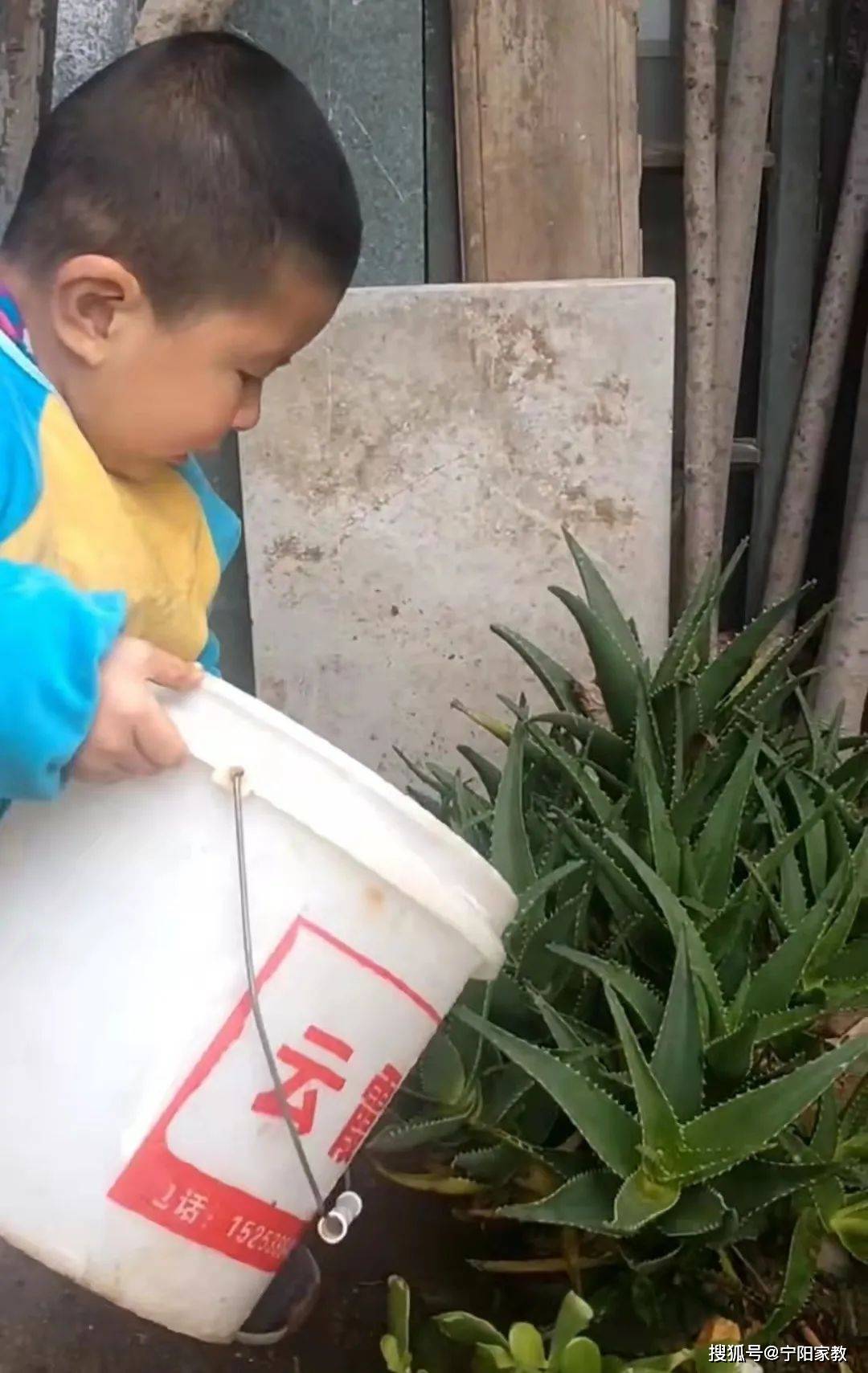 擁抱春天種下希望收穫未來寧陽縣葛石鎮北莊幼兒園植樹節活動