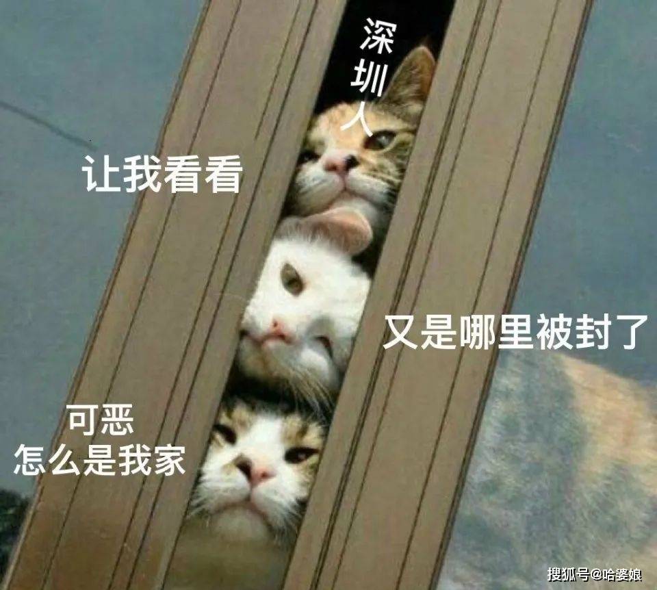关于疫情居家隔离的表情包get起来吧