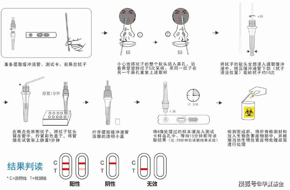 抗原检测图解图片