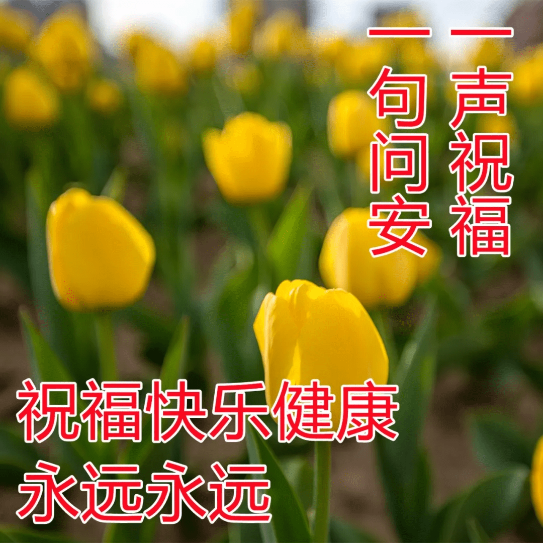f18306e9df044b43aedda649560fdcfb.png