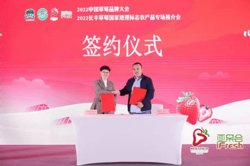 栽培设施栽培面积达21万亩，长丰草莓香溢四海