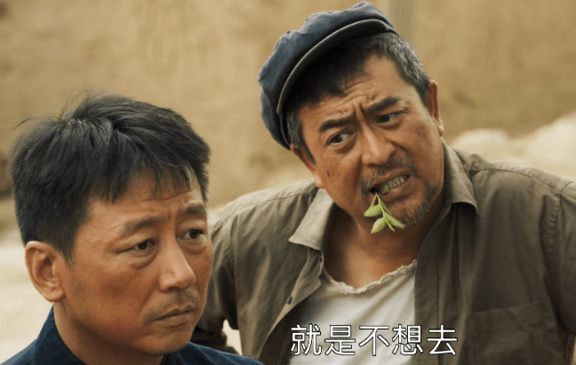 六大|《山海情》大结局：六大男配一起催泪，演技最佳颁给谁？？