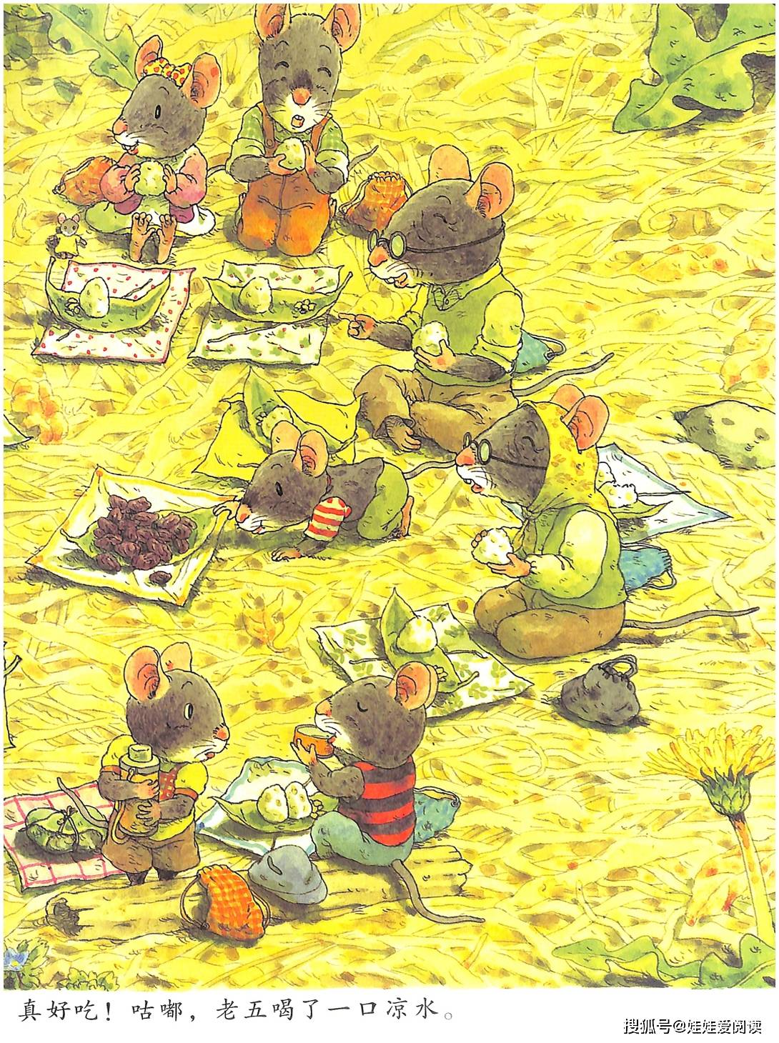 娃娃阅读绘本推荐14只老鼠去春游