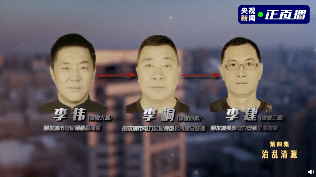 李伟_哈尔滨_李桐