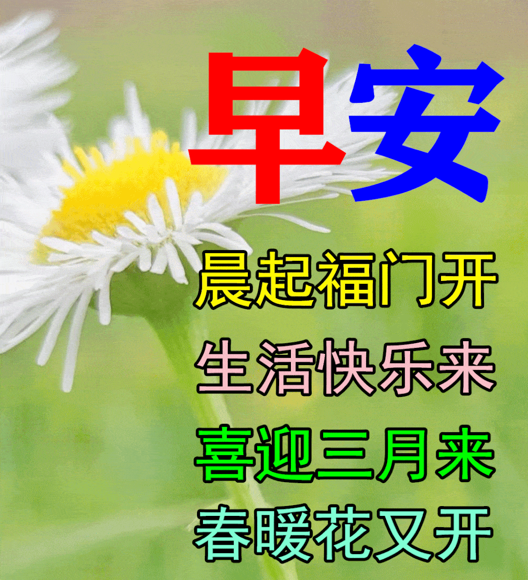 原创2022温馨最新早安祝福鲜花图片星期四早上问候朋友的祝福图片合集
