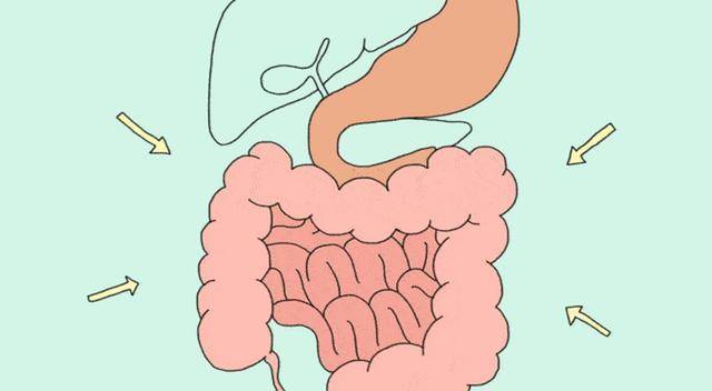 肠道|早上的一件“长寿事”，不是喝水，也不是排便，很多人或都没注意
