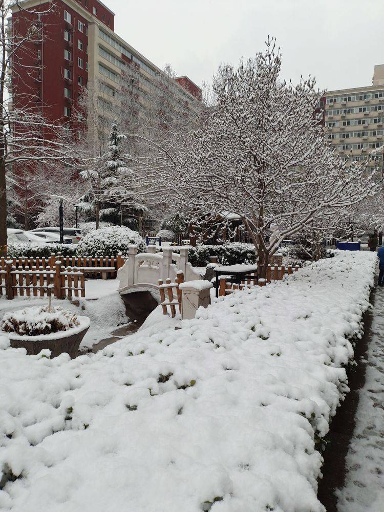 下集|一场雪，让这里的春天真美