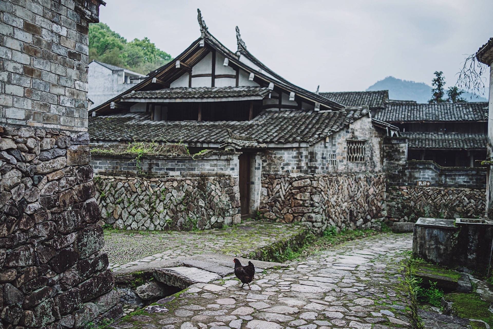 藏在浙江永嘉的古朴村落始建于明朝成化年间尚存有17处古门台