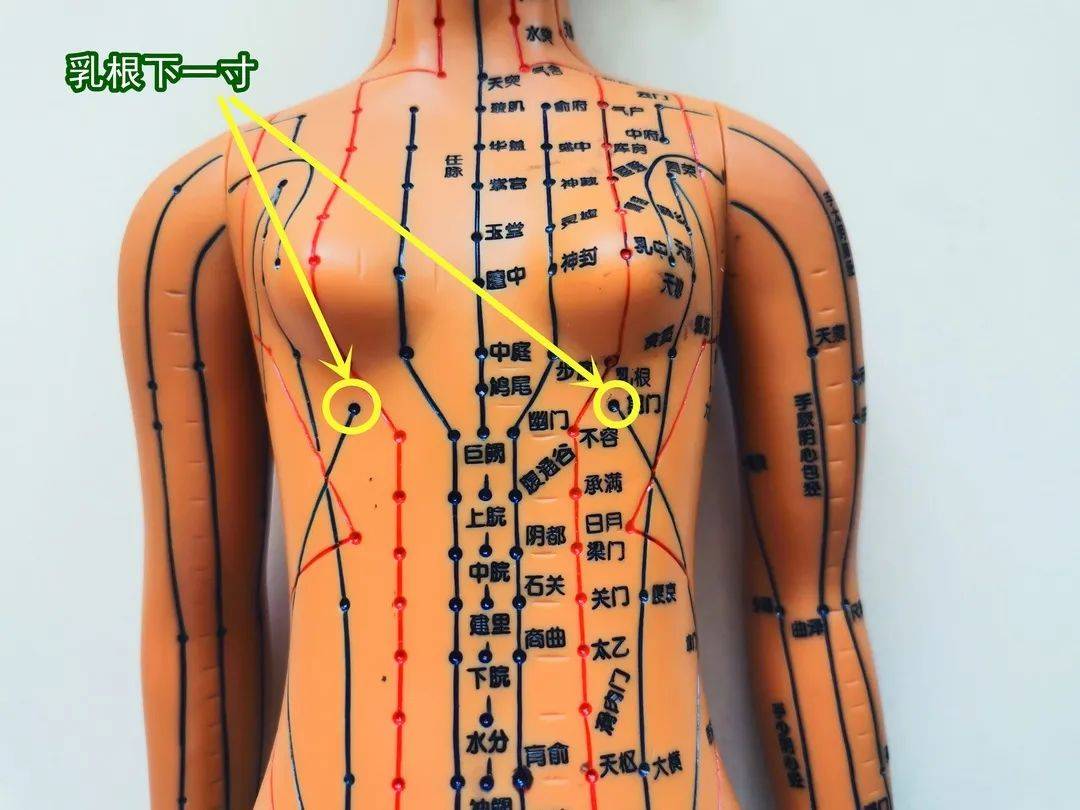 原创在家就能用的催乳方法这几个重要穴位赶紧学起来