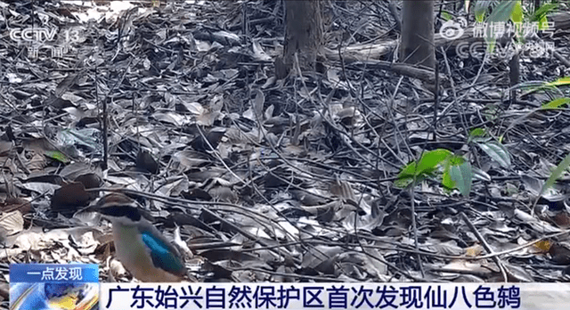 世间生物繁多_世间繁多生物图片_世间繁多生物图片大全