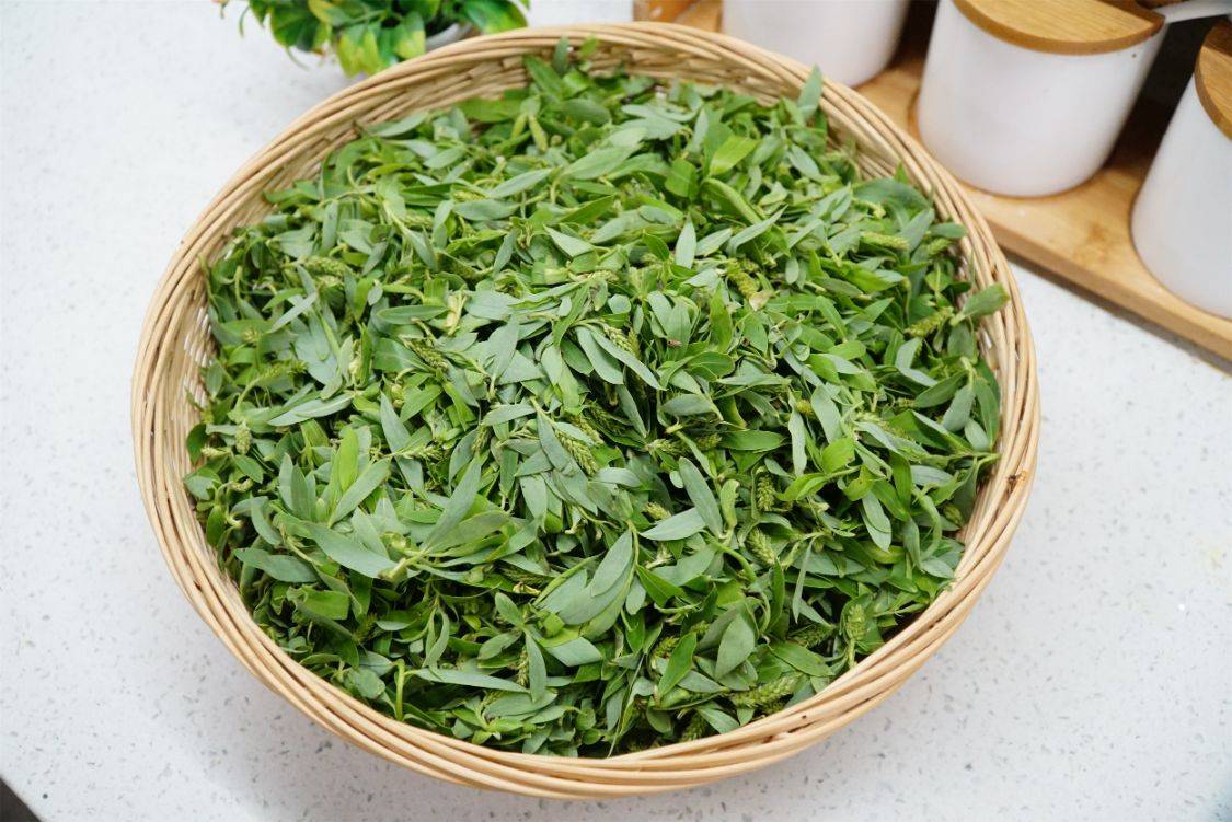 原创阳春三月柳芽是个宝摘一筐春天吃几次很多人不知道有啥用