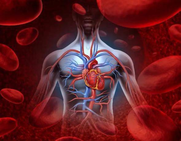 人体|早餐为什么不能吃大米粥呢?医生:不仅是米粥,这2物也最好少吃