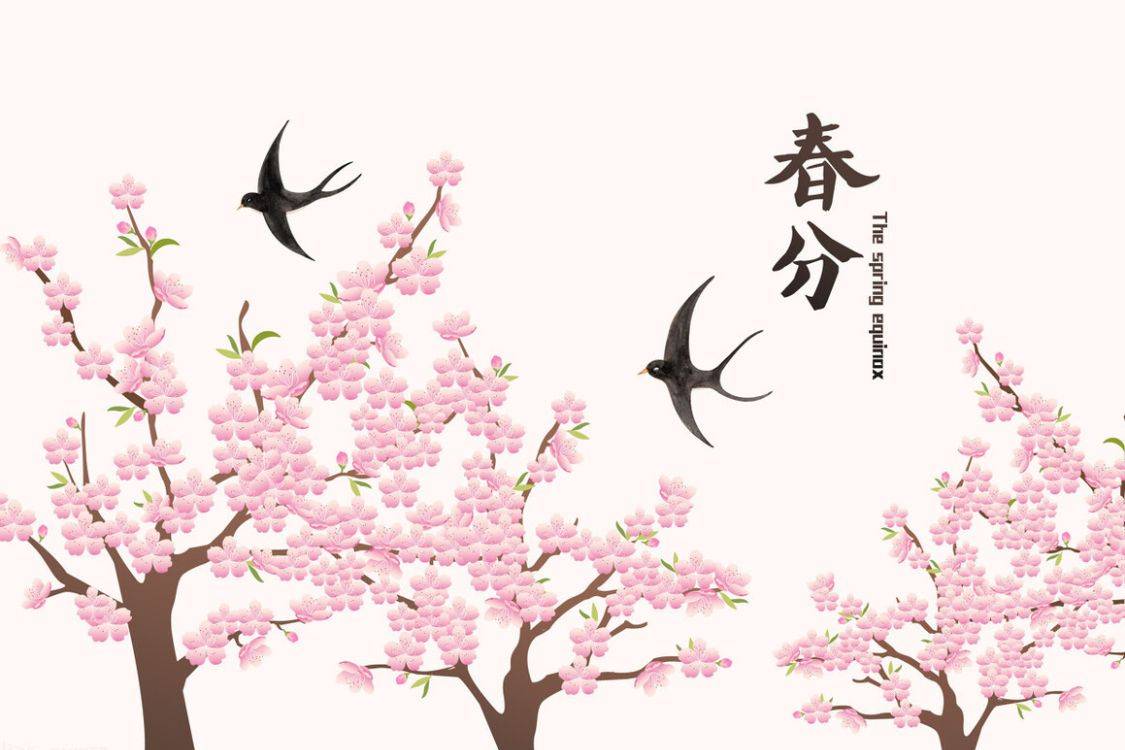 明日春分,忌1事,食2样,做3事,老传统别丢,日子越过越旺_汤圆_节气