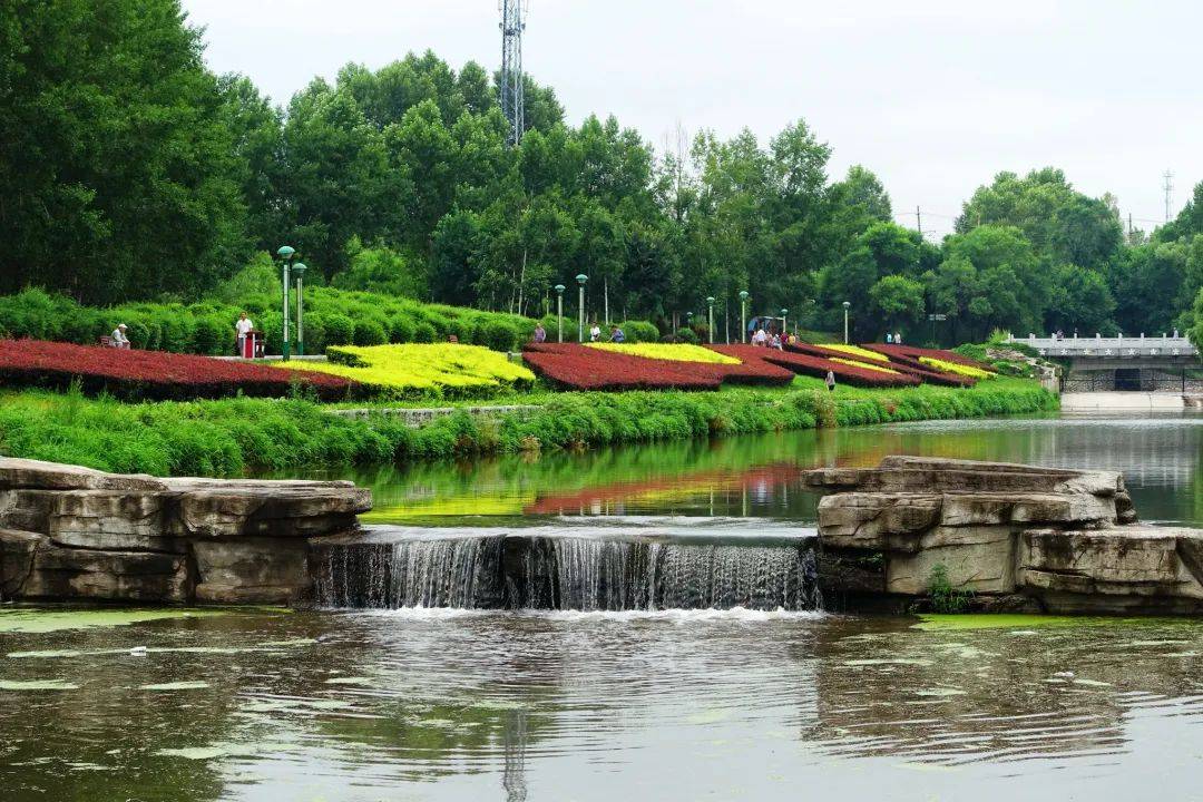 隐居,流浪,反内卷,这座老城悄然走红,真实的鹤岗是什么样子?