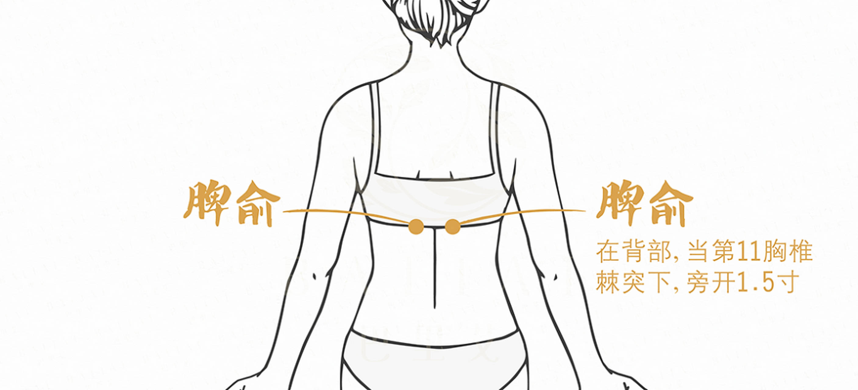 4种都是健脾的中成药,到底要如何正确服用呢?中医告诉你答案