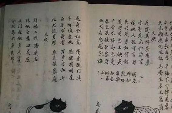 因为50块买的小土狗，翻出古书对照，发现自己要发财了！