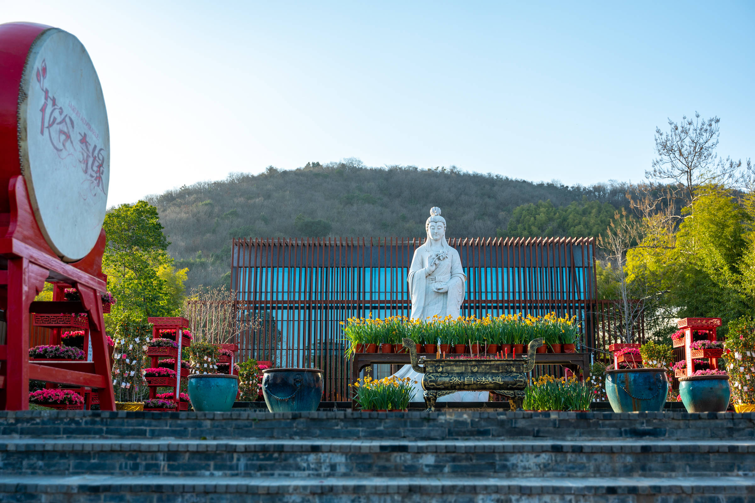 茅山花谷奇缘图片