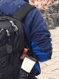 小狗别什么东西都往狗盆里放，会被嫌弃的