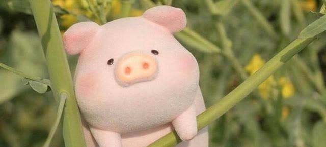 往事|任何感情,只要太深,就是一把刀