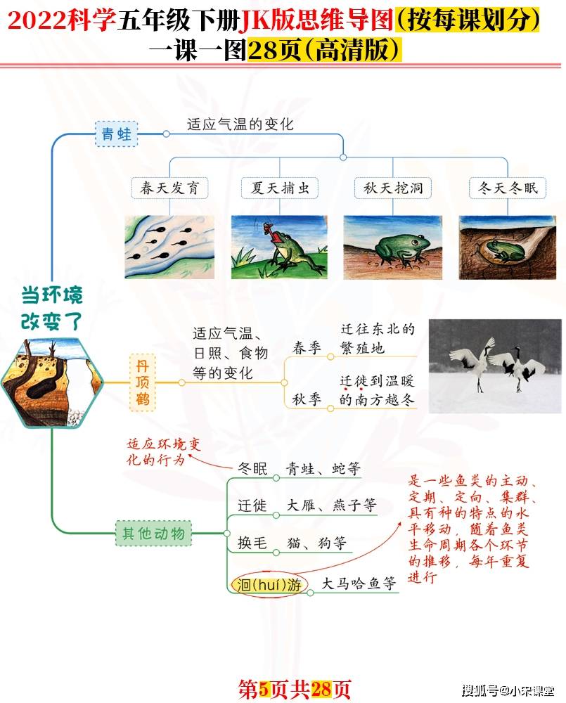 画关于蚯蚓的思维导图图片