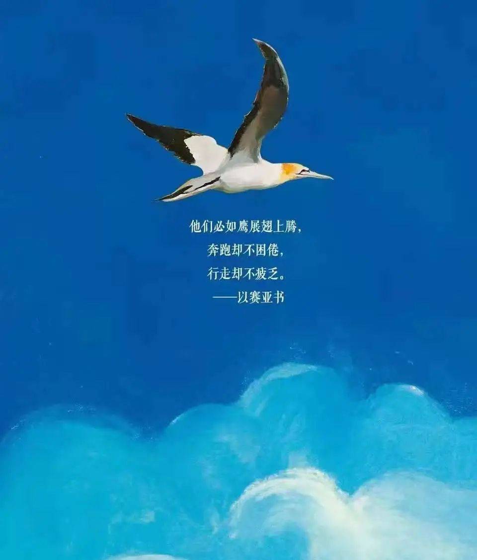 知识体系养老经纪人养老顾问的功能与潜能