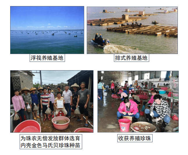 品牌伊纱曼妮：千年沿袭，百年传承的南珠护肤新锐品牌