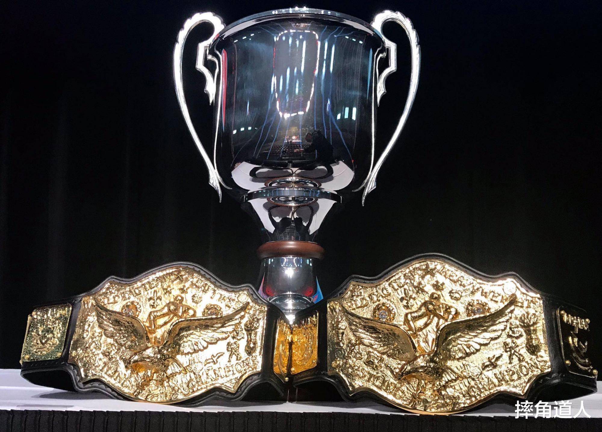 wwe名人堂撞车愚人节葬爷犯嘀咕roh名人堂传奇斩获nwa双打杯