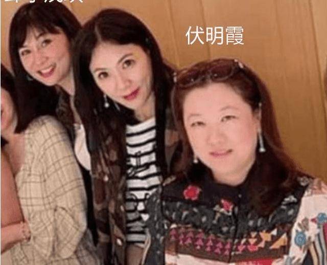 郭晶晶 43岁伏明霞与8位阔太聚会，素颜五官穿印花衬衫裙，富态不失贵气