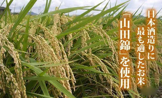 日本酒地图|兵库县,清酒第一乡_山田锦_宫水_酿造