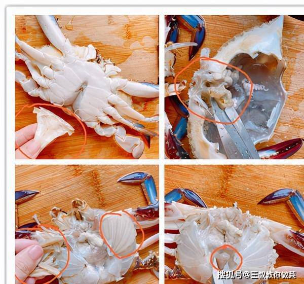 梭子蟹内脏图解 图片图片