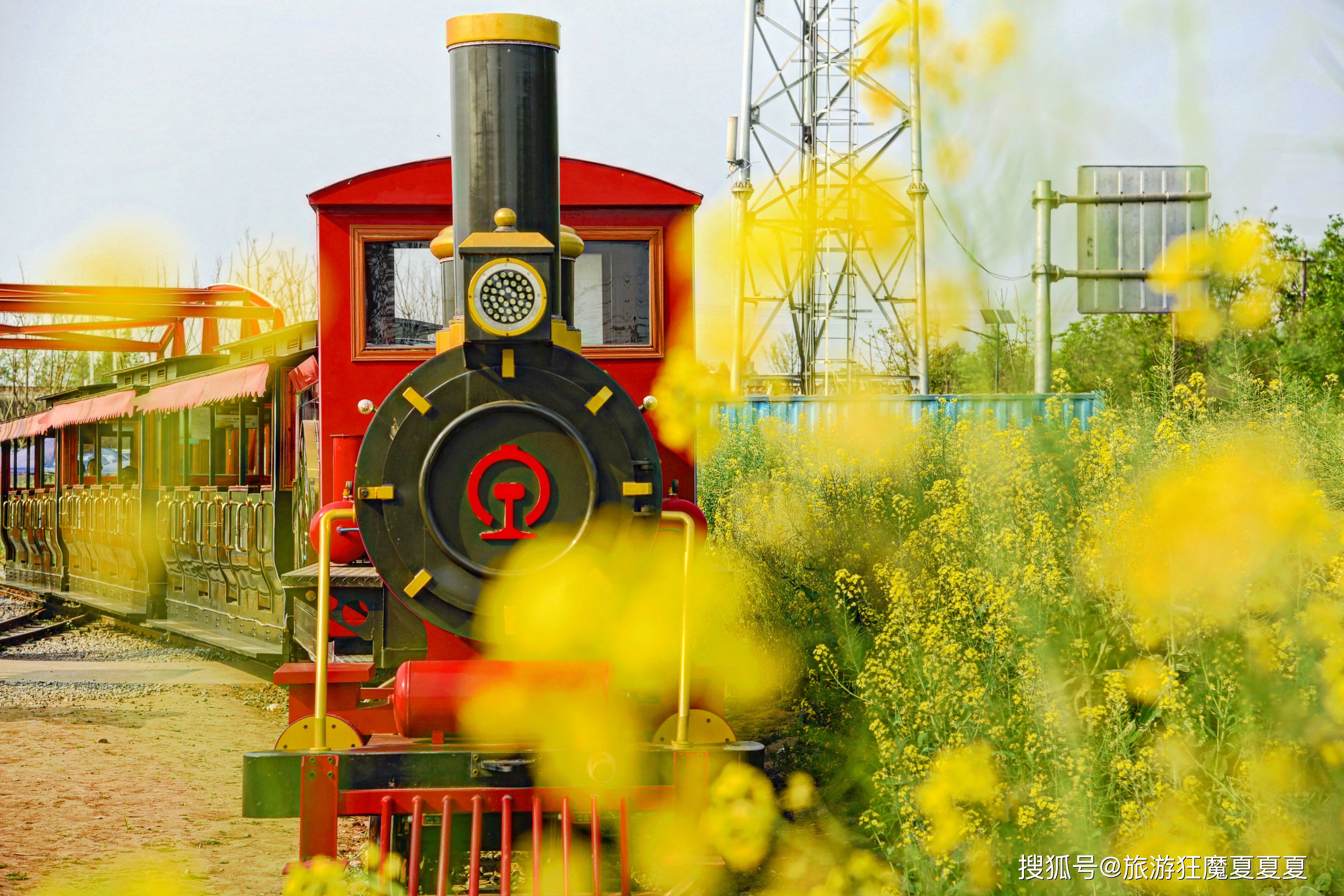 四川崇州开往春天的小火车，在油菜花海中穿行，还能与高铁相汇
