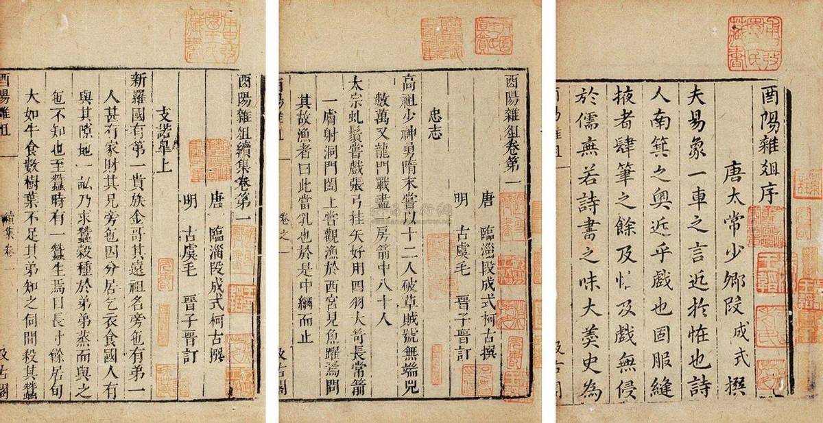 太岁是什么不是植物不是动物的一坨肉为何价值百万