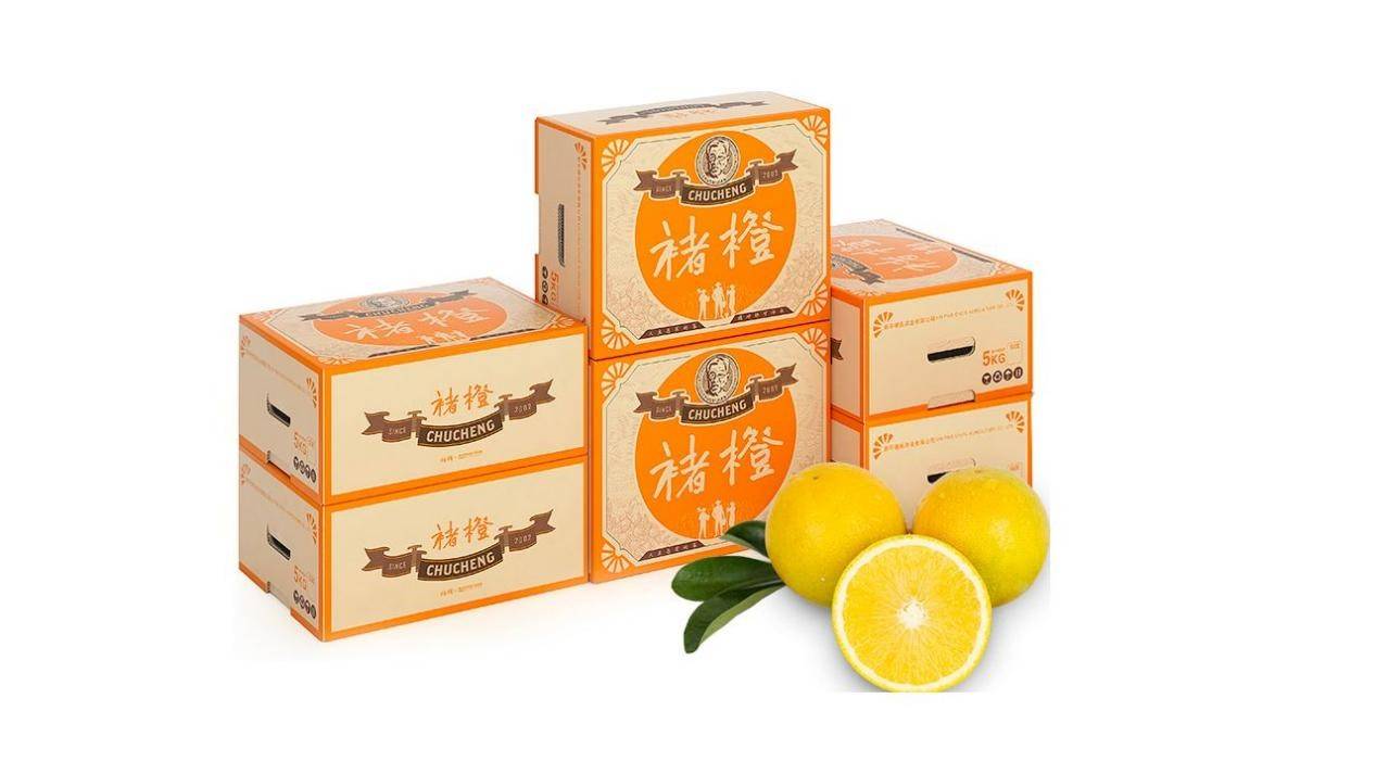 段力引我们应该向禇橙学什么