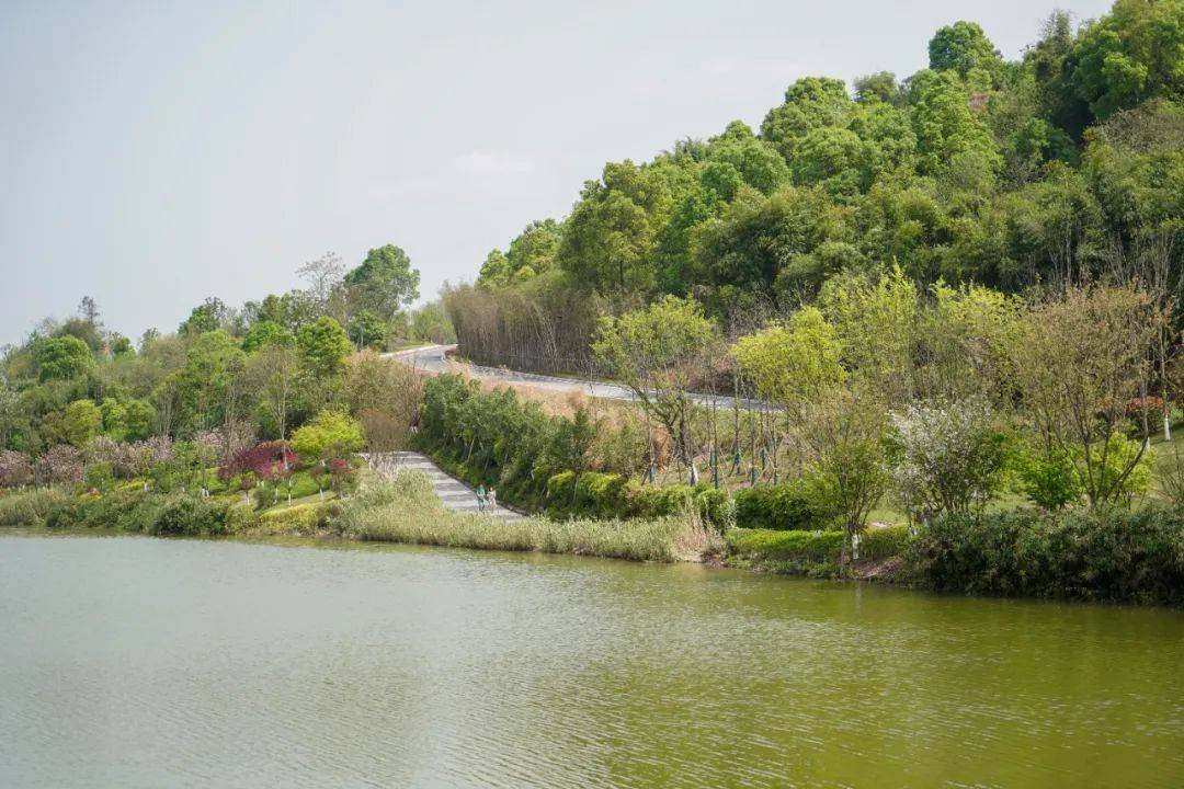 湖畔|藏在重庆周边的湖畔酒店、湖畔咖啡馆，隐居和露营的心水之选