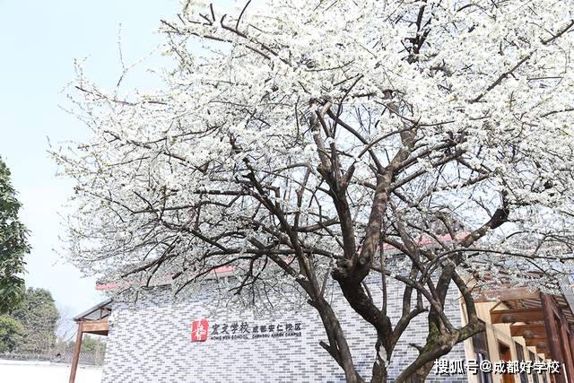 宏文|“十万个为什么”修炼出众多领域小专家！点赞宏文学校探究式学习