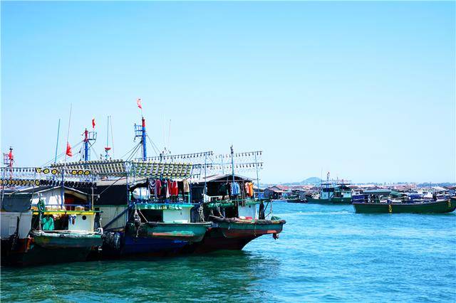 椰子树|海南小众秘境，坐船3分钟抵达，适合冲浪发呆，很多游客没听说过