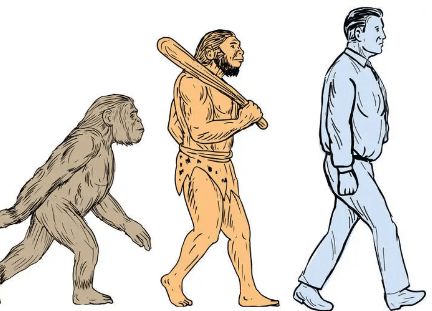 世间生物进化_世间进化生物有哪些_世界生物进化史