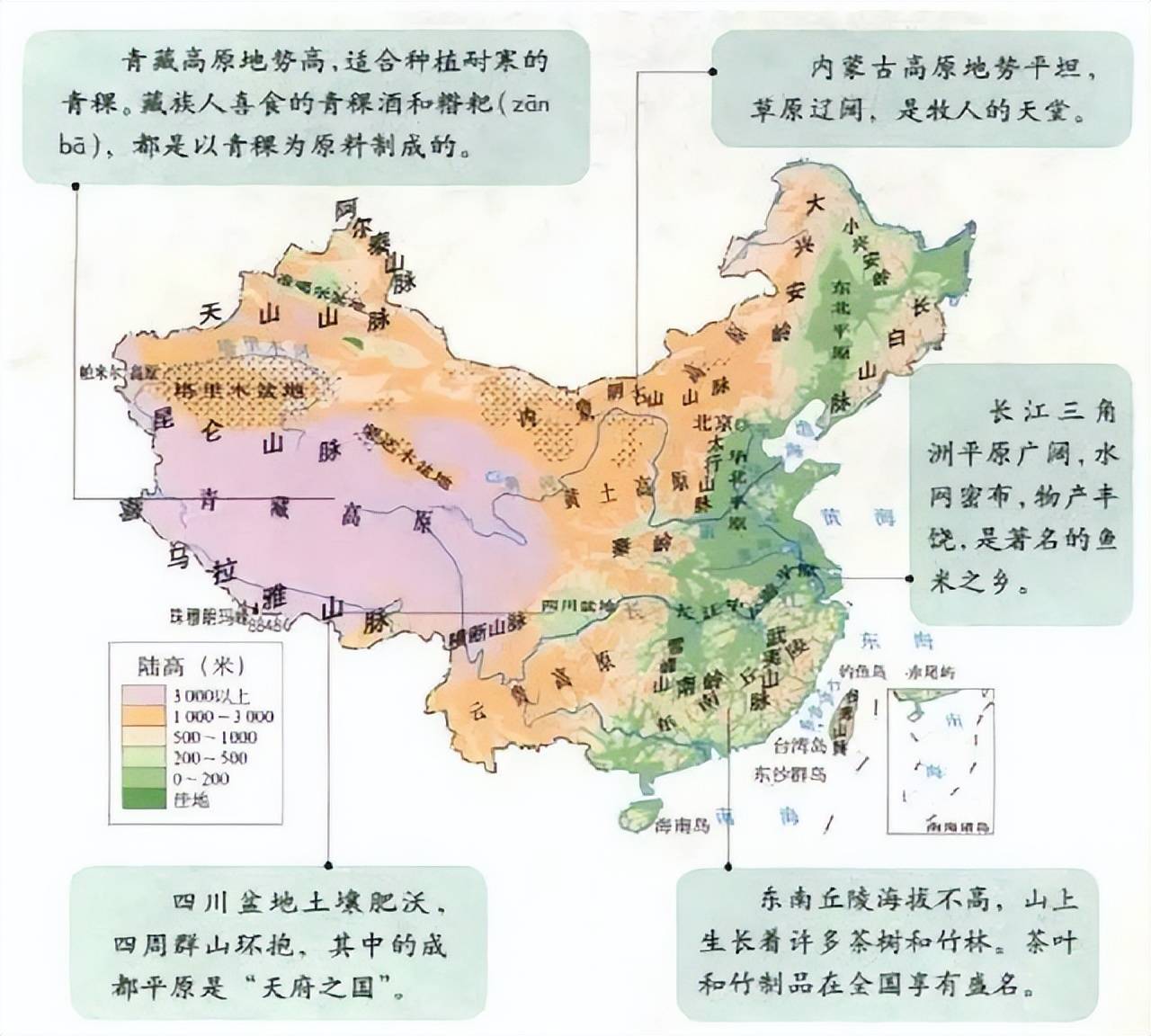 原创风滚草入侵全球在美国堵路又淹没小镇为何在我国却很难成年