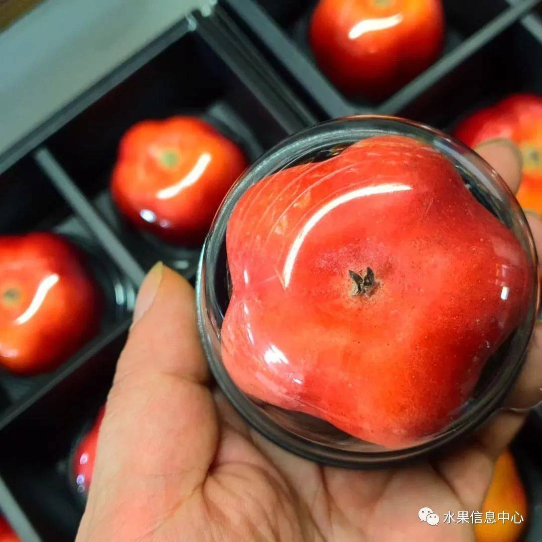 火爆韩国的超人气星星迷你苹果