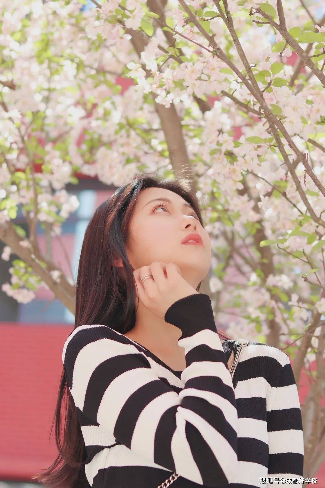 最美校园醉美成川外